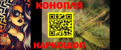 сатива Краснознаменск