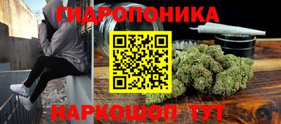 сатива Краснознаменск