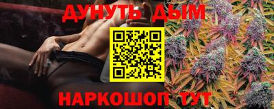 сатива Краснознаменск