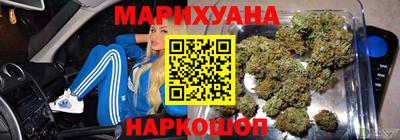 сатива Краснознаменск