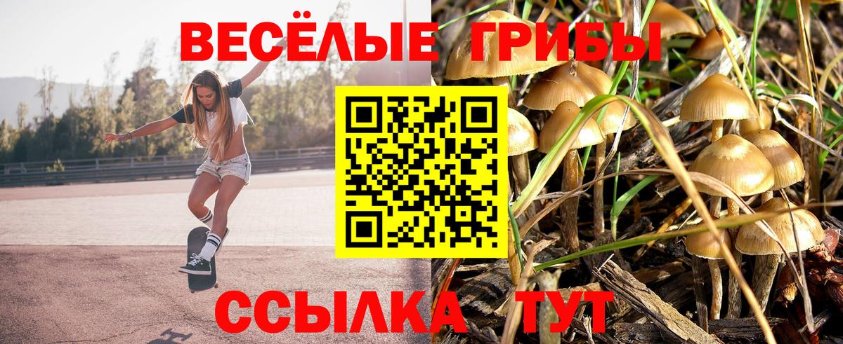 Псилоцибиновые грибы GOLDEN TEACHER Ейск